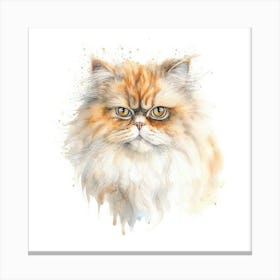 Persian Himalayan Cat Portrait 3 Canvas Print
