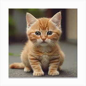 Cute Kitten Canvas Print