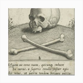 Skull And Bones Canvas Print