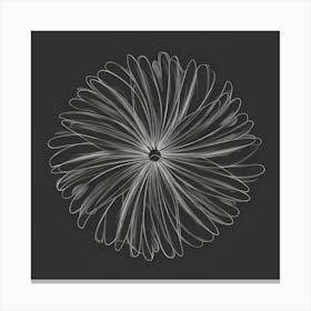 White Daisy Canvas Print