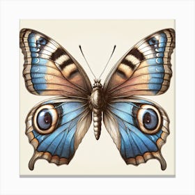 Antique Victorian Butterfly Drawing v3 Canvas Print