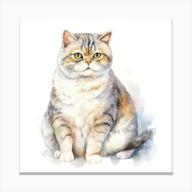 Scottish Fold Shorthair Cat Portrait 2 Canvas Print
