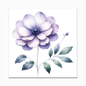 Watercolor Flower Isolated On White Canvas Print