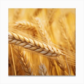 Wheat In The Field Canvas Print