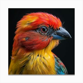 Colorful Bird 2 Canvas Print