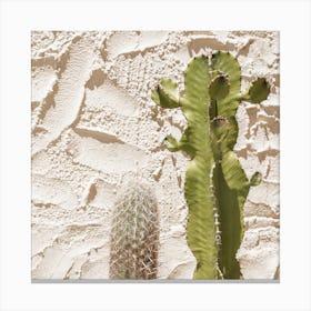 Cactus Plants Square Canvas Print