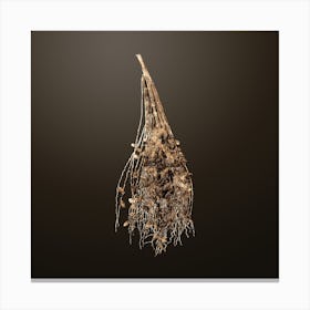 Gold Botanical Normal Spadice of the Palm on Chocolate Brown n.1326 Canvas Print