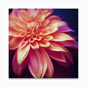 Dahlia Flower 1 Canvas Print