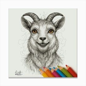 Goat Drawing 6 Canvas Print