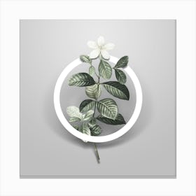 Vintage Gardenia Minimalist Botanical Geometric Circle on Soft Gray n.0039 Canvas Print