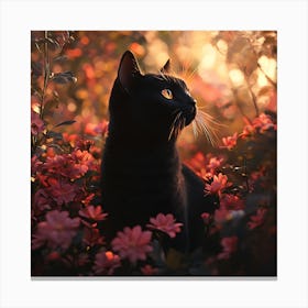 Black Cat in a Floral Sunset Garden 9 Leinwandbilder