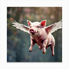 Flying pig Canvas Print