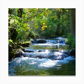 Stream In The Forest Canvas Print