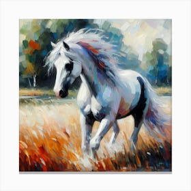 Horse Running In The Field 2 Canvas Print