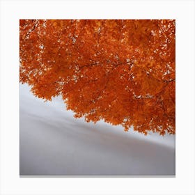 Autumn Leaves Canvas Print