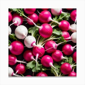 Radishes 4 Canvas Print