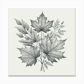 Line Art maple leaves 2 Canvas Print