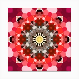 Mandala 1 Canvas Print