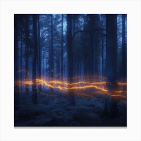 Dark Forest At Night Canvas Print
