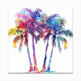 Palm Trees 33 Canvas Print
