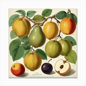 Fruit Tree Canvas Print