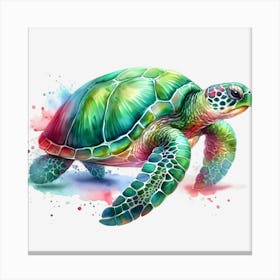 Sea Turtle 4 Canvas Print