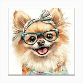 Pomeranian 10 Canvas Print