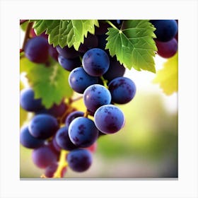 Grapes On The Vine 47 Canvas Print