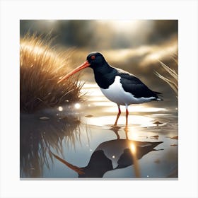 Oyster Catcher on the Estuary Canvas Print