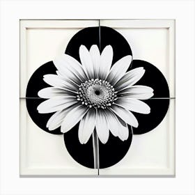 Symmetry In A Daisy Bloom Canvas Print