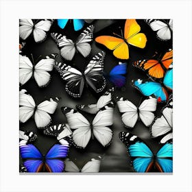 Large Group Of Butterflies Canvas Print
