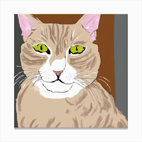 Cat Portrait #4 Canvas Print