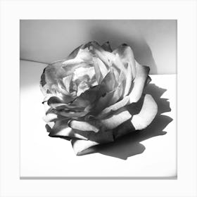 Black and White Rose Canvas Print