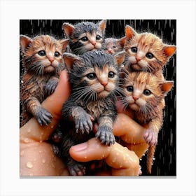 Kittens In Rain Canvas Print