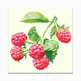 Raspberries On A Branch Canvas Print