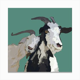 Old Goats Canvas Print