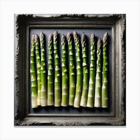 Asparagus Spears In A Frame Canvas Print