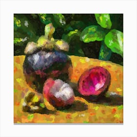 Mangosteen Canvas Print