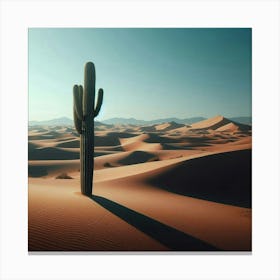 Desert Stock Videos & Royalty-Free Footage Canvas Print