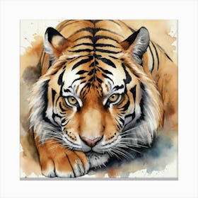 Tiger Doesn't Lose Sleep Animal Art Print 3 Canvas Print