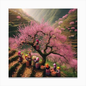 Cherry Blossoms Bloom Behind The Hill Canvas Print