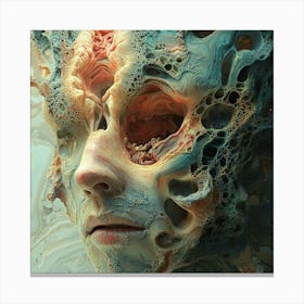 Face Of A Man 3 Canvas Print