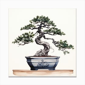 Bonsai Tree 1 Canvas Print