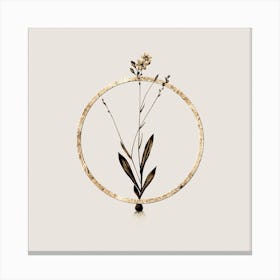 Gold Ring Gladiolus Junceus Glitter Botanical Illustration n.0178 Canvas Print