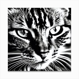 Black And White Cat 2 Canvas Print