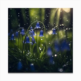 Raindrops on a Bower of Bluebell Woodland Flowers Canvas Print