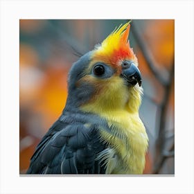 Cockatiel 10 Canvas Print