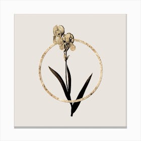 Gold Ring Tall Bearded Iris Glitter Botanical Illustration Canvas Print