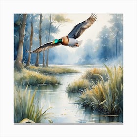 Duck In Flight Canvas Print