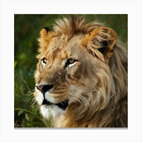 Lion Portrait 1 Canvas Print